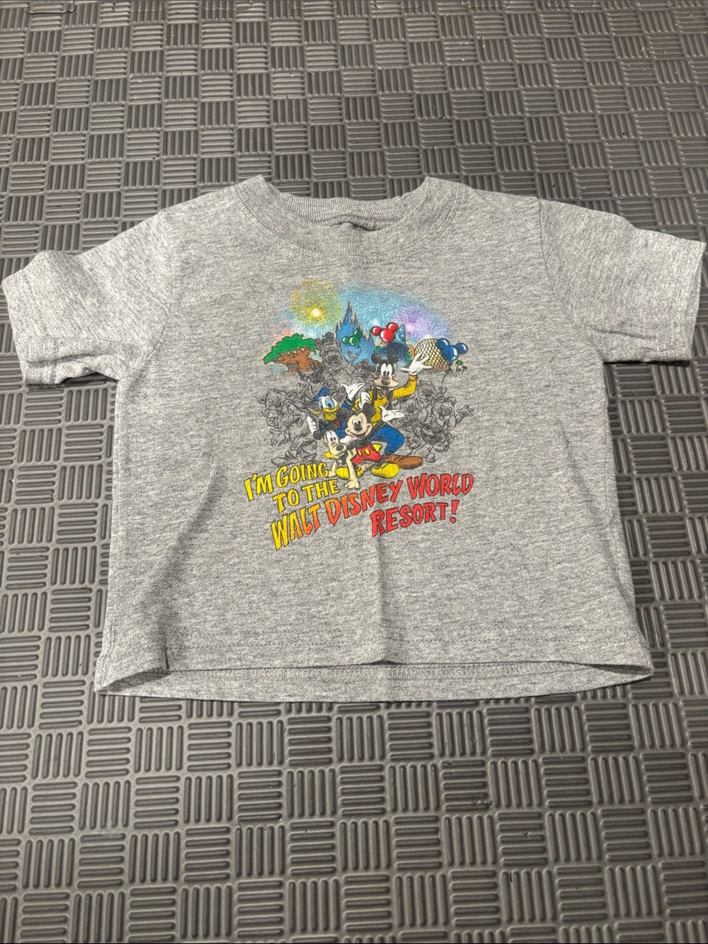 WDW Disney 12M Gray Graphic Tee with Mickey & Friends Walt Disney World Resort